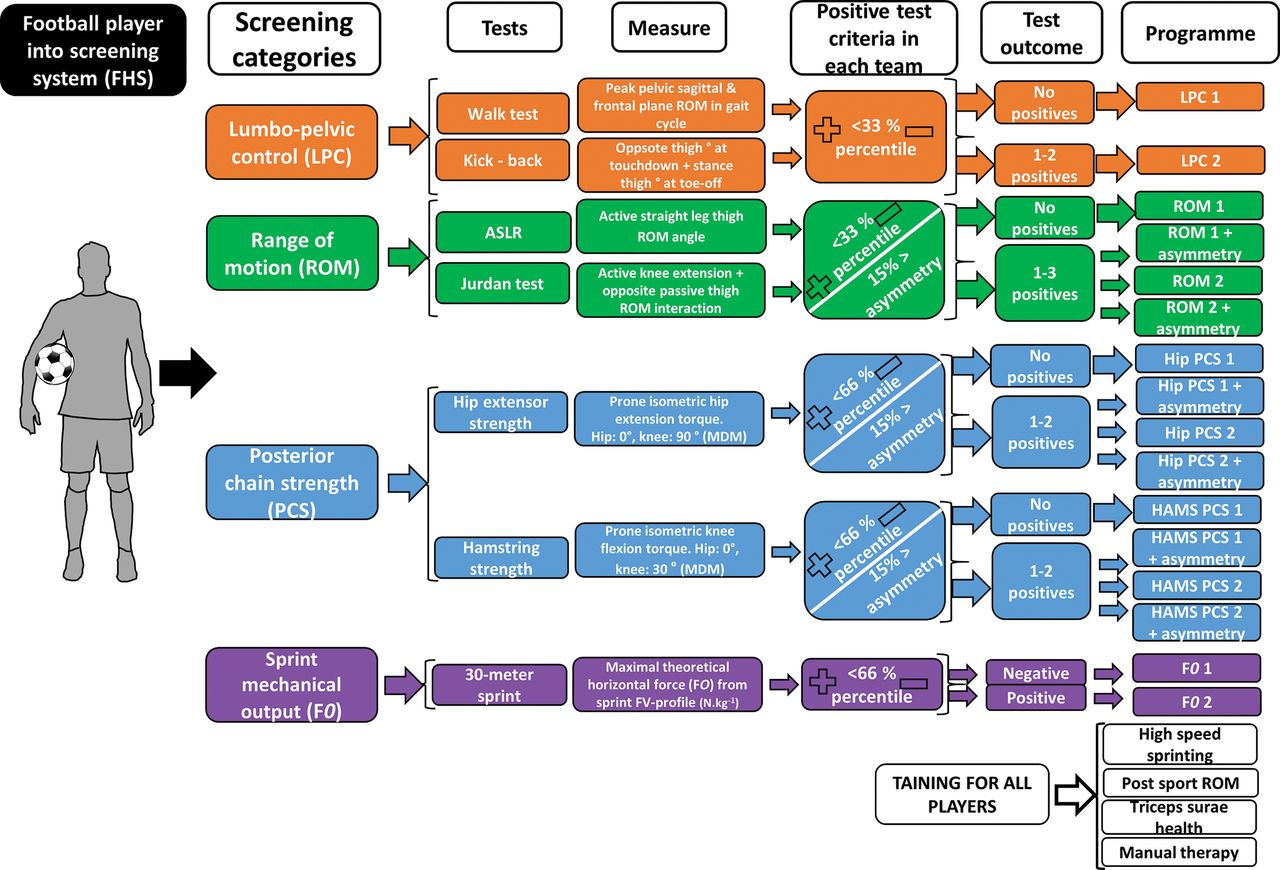 bmjosem-2020-August-6-1–F2.large WS22-Model