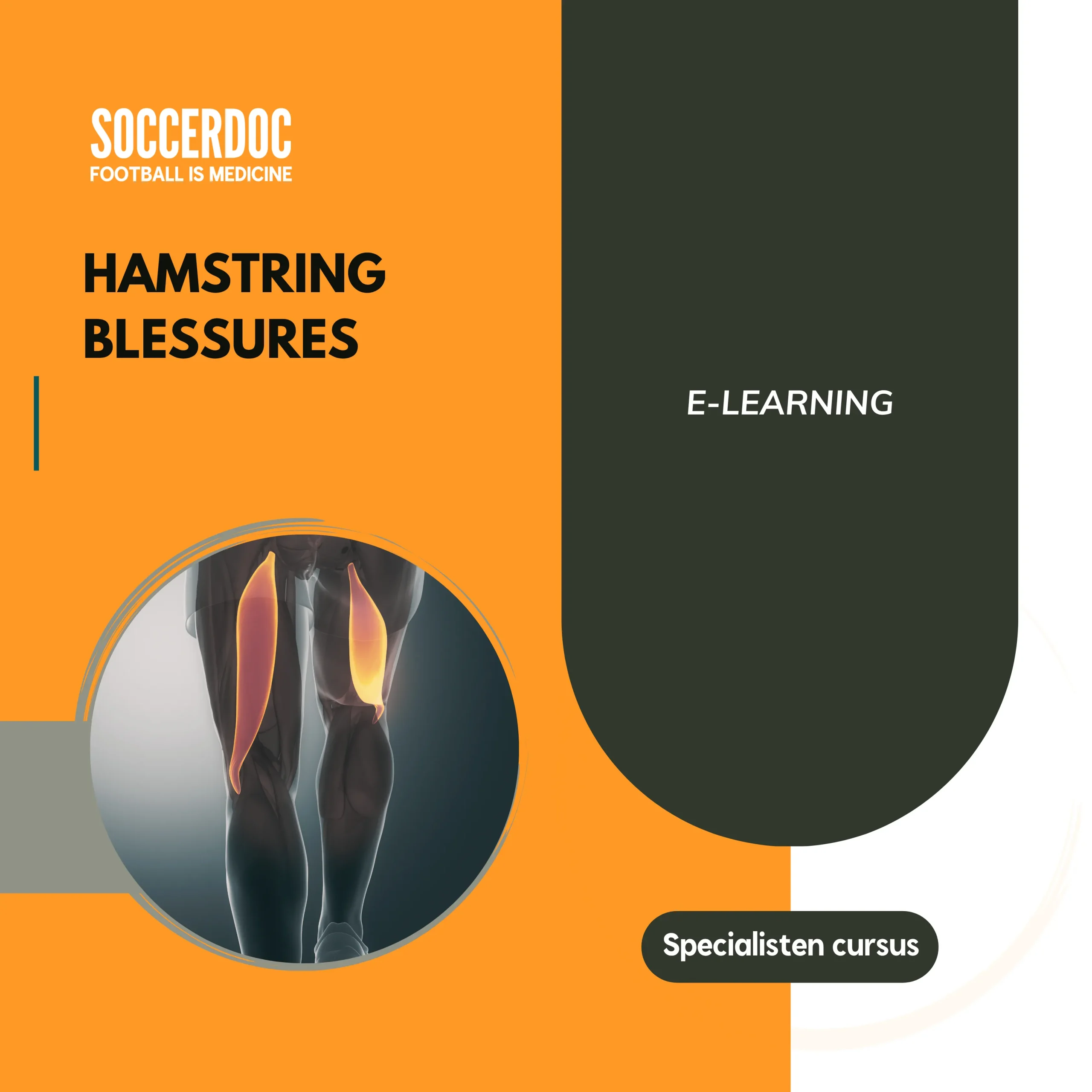 elearning hamstringblessures SoccerDoc elearning hamstringblessures SoccerDoc